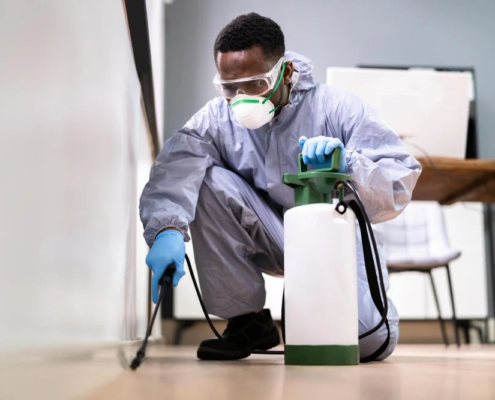 Desinsetização_Residencial _Comercial_3