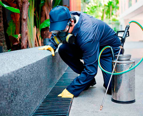 Desinsetização_Residencial _Comercial_6