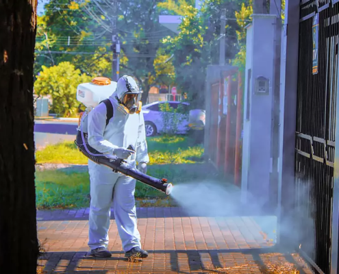 Desinsetização_Residencial _Comercial_7